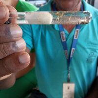 Aumenta para 56 número de mortes por dengue na Bahia